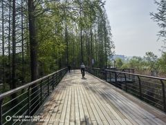 -青山湖景区