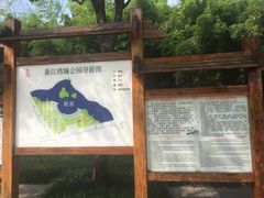 -新江湾城公园