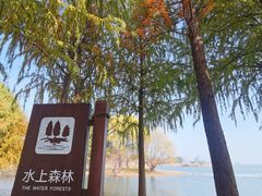 -贡湖湾湿地公园