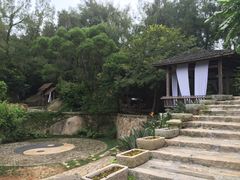 -厦门园林植物园-植物园滴水山房