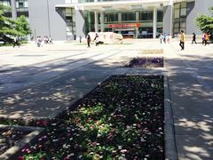 门面-北京航空航天大学-图书馆