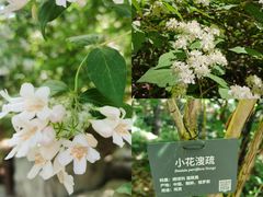 -国家植物园