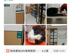 -瑞派康怡24h宠物医院·犬猫医疗中心·微创绝育(瑞景分院)