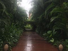-三亚湾红树林度假世界(木棉酒店)