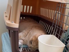 -美联众合动物医院·24h京西诊疗中心