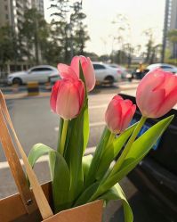 -Fanni美甲美睫皮肤管理