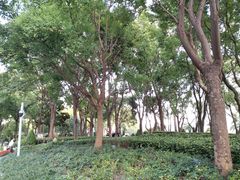 -北外滩滨江绿地