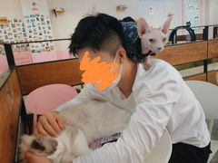 -喵匠猫主题咖啡(凯德和平广场店)