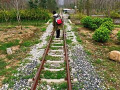 -合肥滨湖国家森林公园