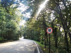 -南京市江宁方山