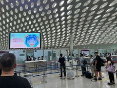 -陈鹏鹏潮汕菜(宝安机场T3航站楼店)