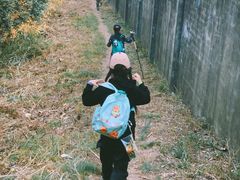 -杭州半山国家森林公园