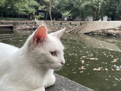 -西园戒幢律寺