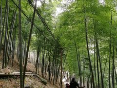 -藏龙百瀑风景区