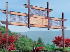 -梭布垭石林景区