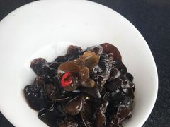-云中小雅
