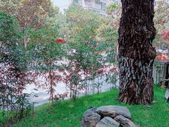 -大妙火锅·非物质文化遗产(东湖公园店)