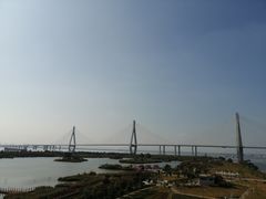 -芒洲湿地公园