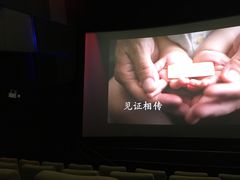 -万象影城(杭州万象城IMAX激光店)