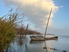 -洱海月湿地公园