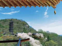 -牛首山文化旅游区