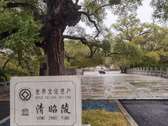 -北陵公园