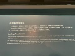 -云阿蛮云南生烫牛肉米线(奉贤路店)