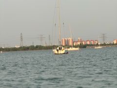 -漕湖湿地公园