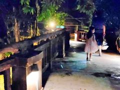-清迈夜间动物园