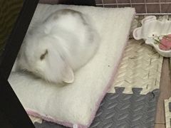 -龙猫仔乐园(惠福东路店)