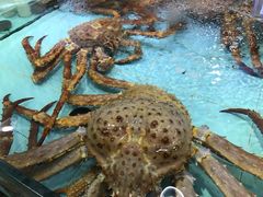 -渔民新村(番禺总店)