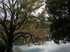 -溪口-滕头旅游景区