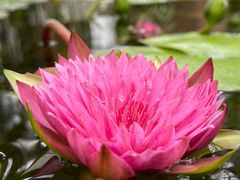 -国家植物园南园