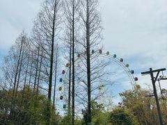 -上海野生动物园