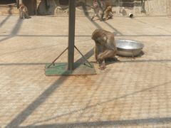 -南京金牛湖风景区