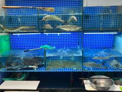-小本鸡饭店(滨江白马湖店)