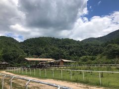 -梁野山景区