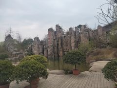 -秀丽东方
