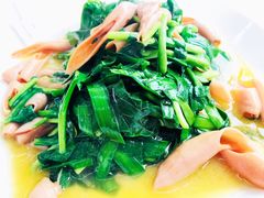 韭菜海肠-渔民船说·北塘海鲜·天津菜·海肠捞饭(北塘古镇店)