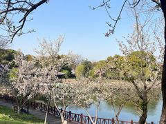 -虞山风景区