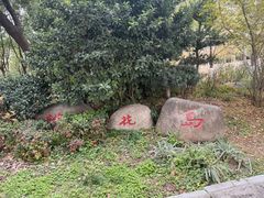 -武昌江滩