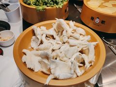 -龍歌自助小火锅(李沧顺和汇店)