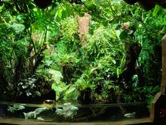 -太平洋海底世界