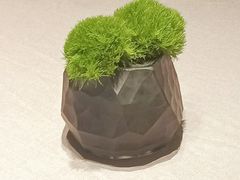 -南堂馆·新川菜(春熙路店)