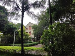 -厦门大学(思明校区)