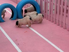 -渔岛海洋度假区