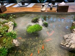 -森味薪火烧•烧鸟居酒屋•日本料理(望京店)