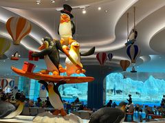 -帝企鹅自助餐厅•儿童岛•真企鹅(长隆企鹅酒店)