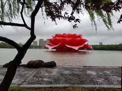 -洛阳市隋唐城遗址植物园