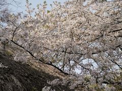 -中国茶叶博物馆(双峰馆区)